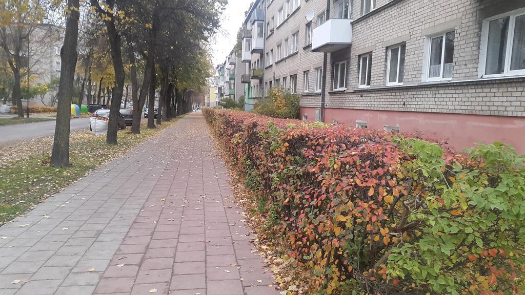 Apartment Dalyce Šiauliai Exteriör bild